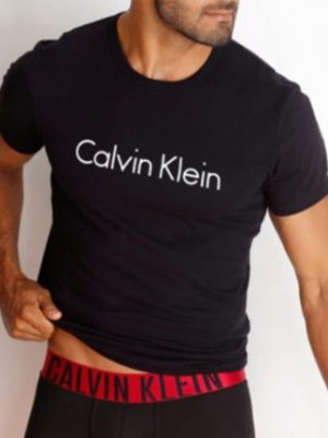 Pánske tričko Calvin Klein NM1129E